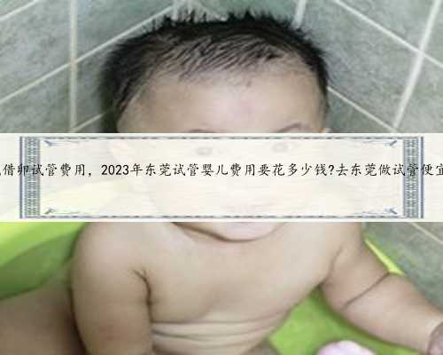 东莞借卵试管费用，2023年东莞试管婴儿费用要花多少钱?去东莞做试管便宜吗