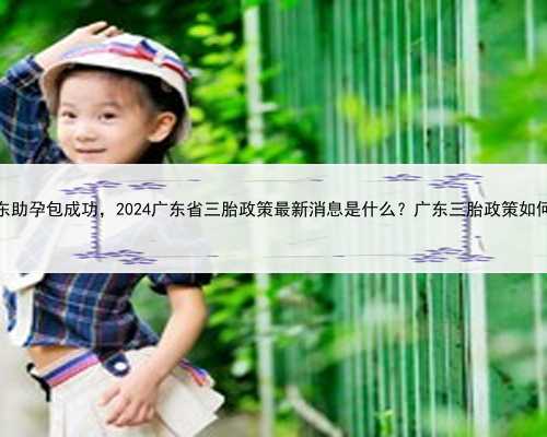 广东助孕包成功，2024广东省三胎政策最新消息是什么？广东三胎政策如何？