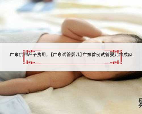 广东供卵产子费用，[广东试管婴儿]广东首例试管婴儿将成家